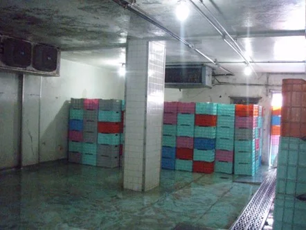 CÁMARA FRIGORÍFICA PARA ALMACENAMIENTO DE PRODUCTOS AGRÍCOLAS, EN CAJAS DE PLÁSTICO