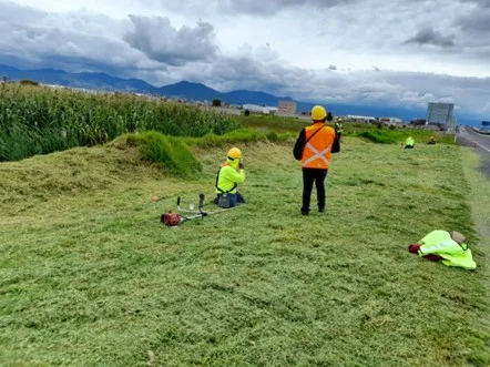 PERSONAS REALIZANDO LA PODA DE HIERVA EN LA ORILLA DE UNA AUTOPISTA